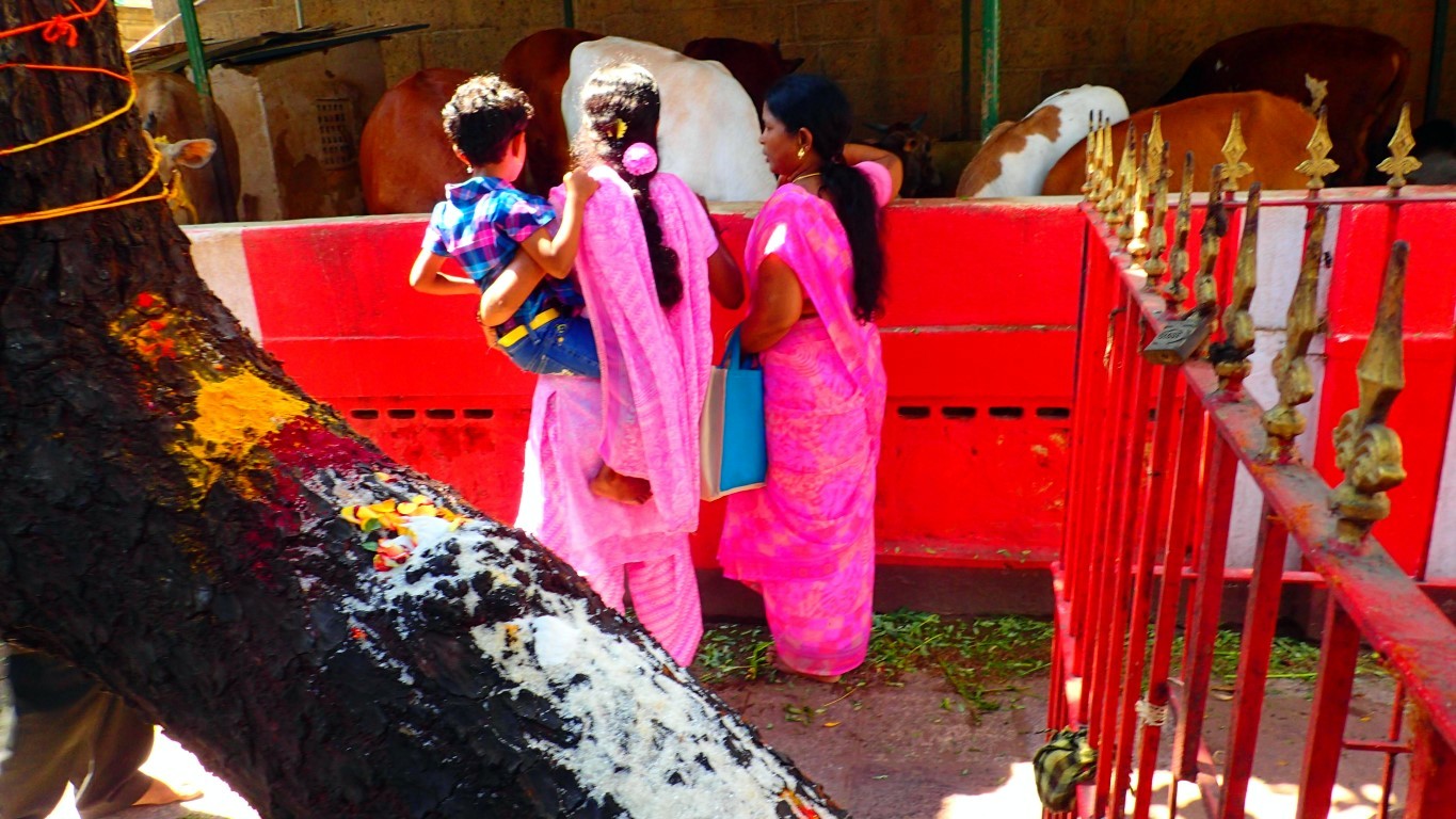 Chennai