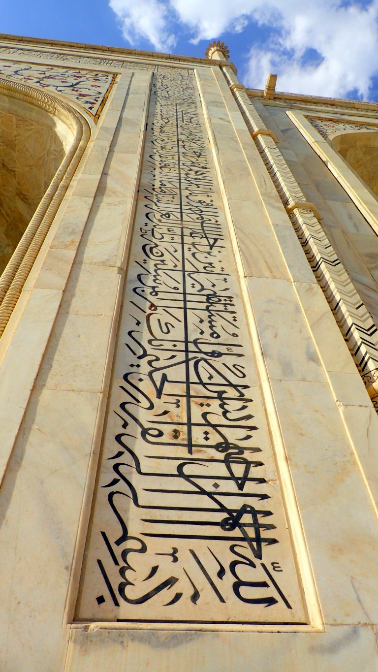 P4072237 (Medium).JPG