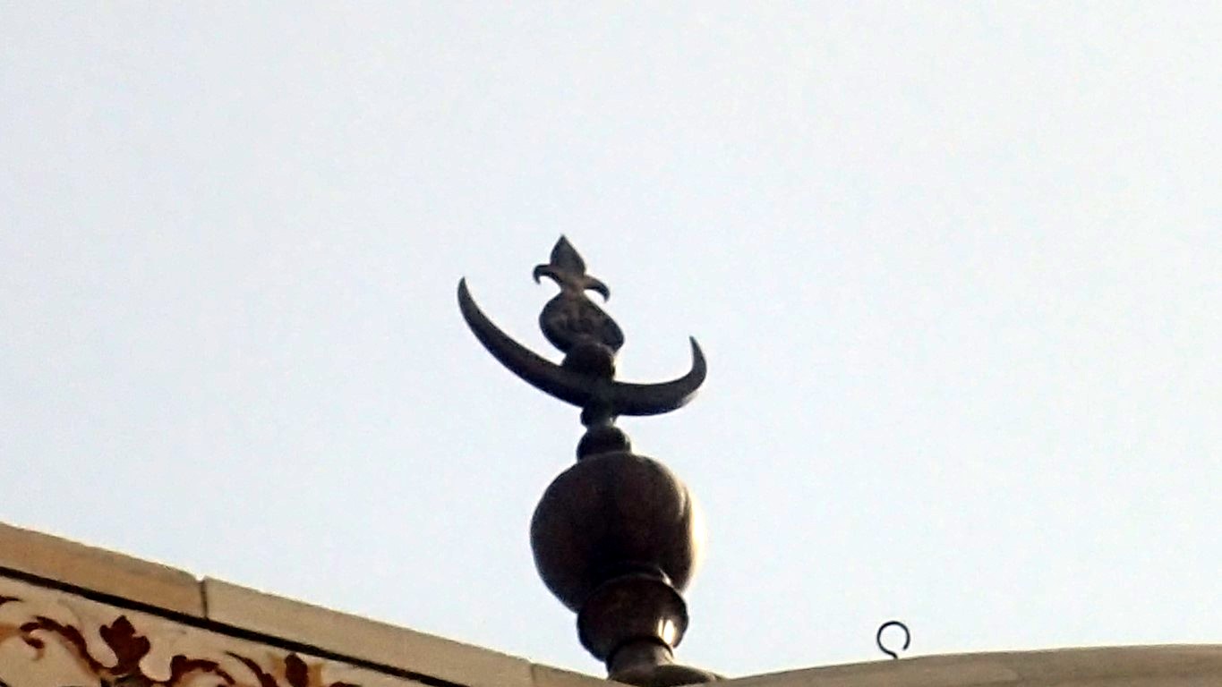 P4072271 (Medium).JPG
