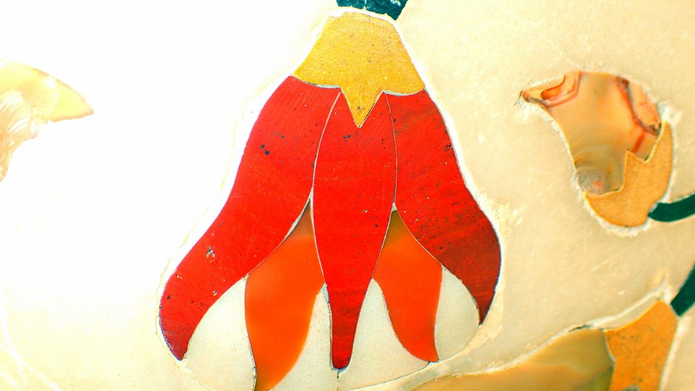 P4072287 (Medium).JPG