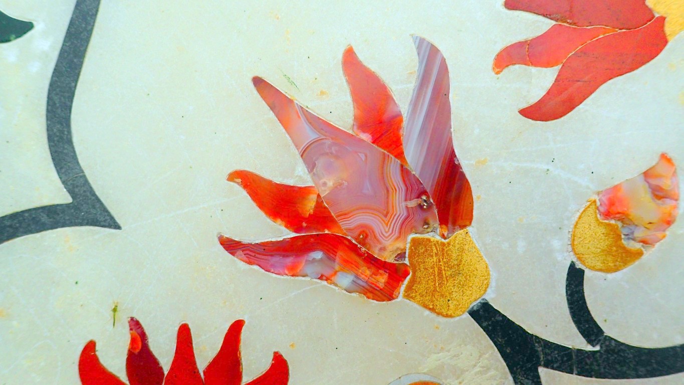 P4072321 (Medium).JPG