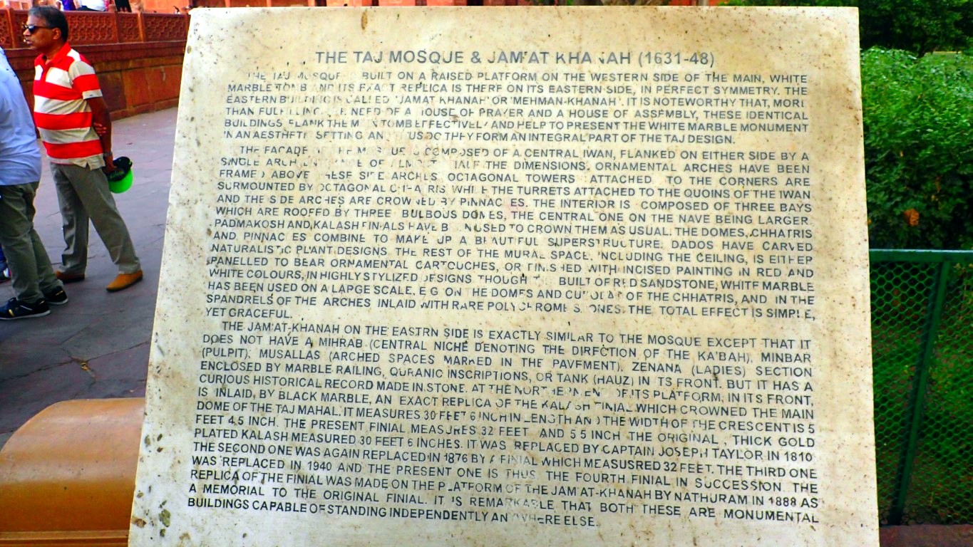 P4072331 (Medium).JPG