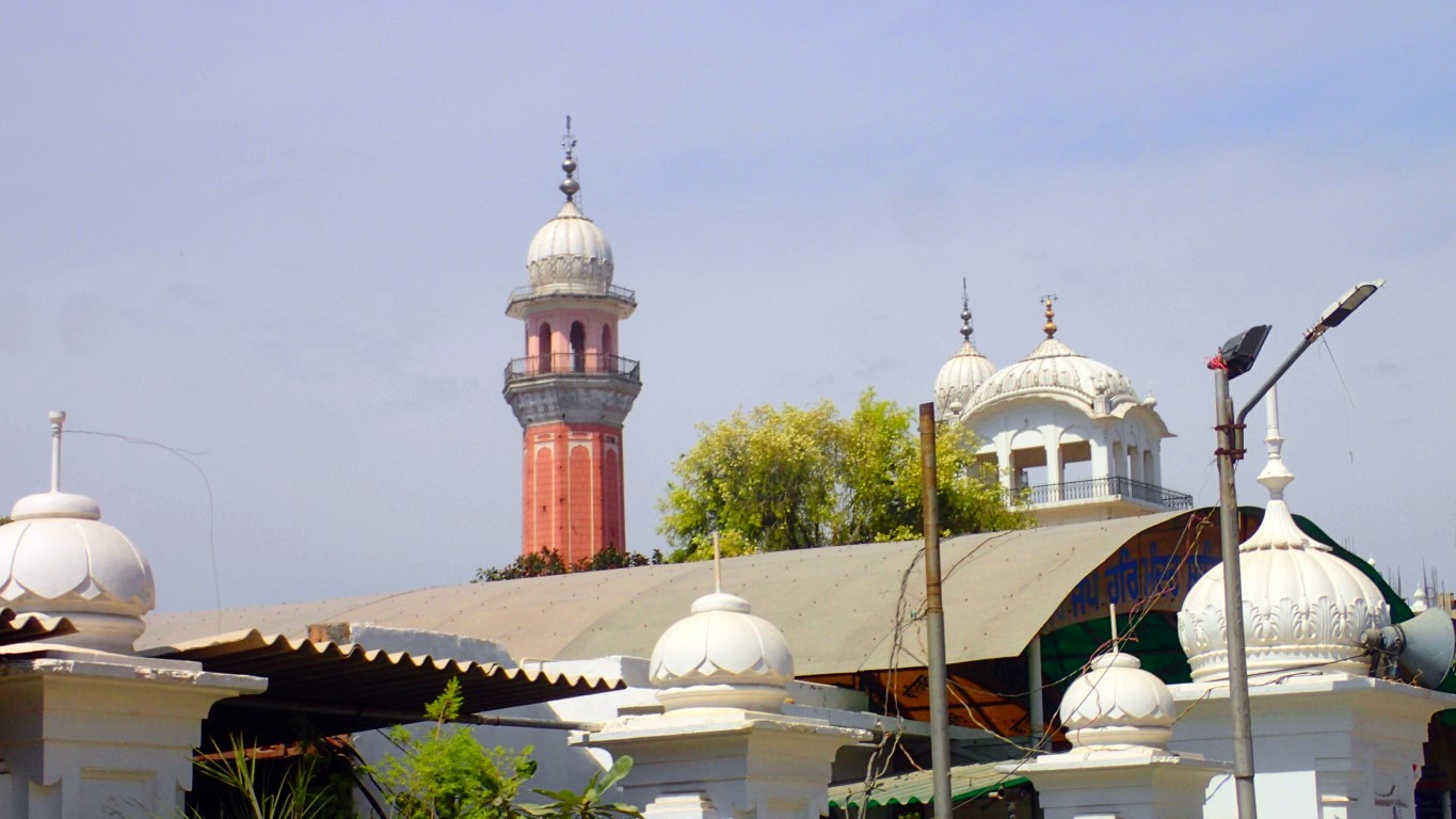 P4092387 (Medium).JPG