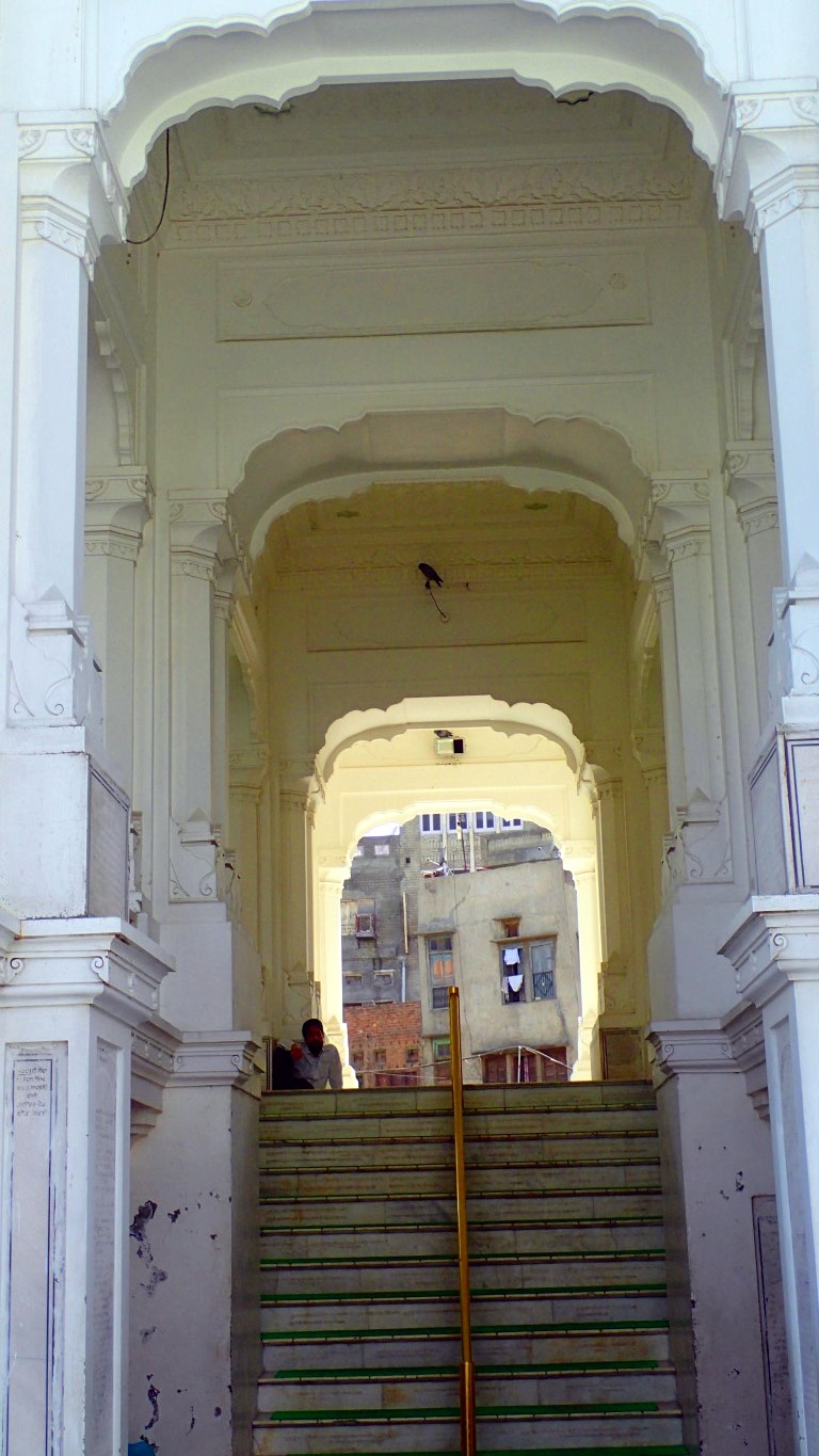 P4092430 (Medium).JPG