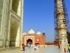 P4072235 (Medium).JPG