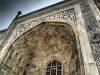 P4072256 (Medium).JPG