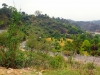 P4102609 (Medium).JPG