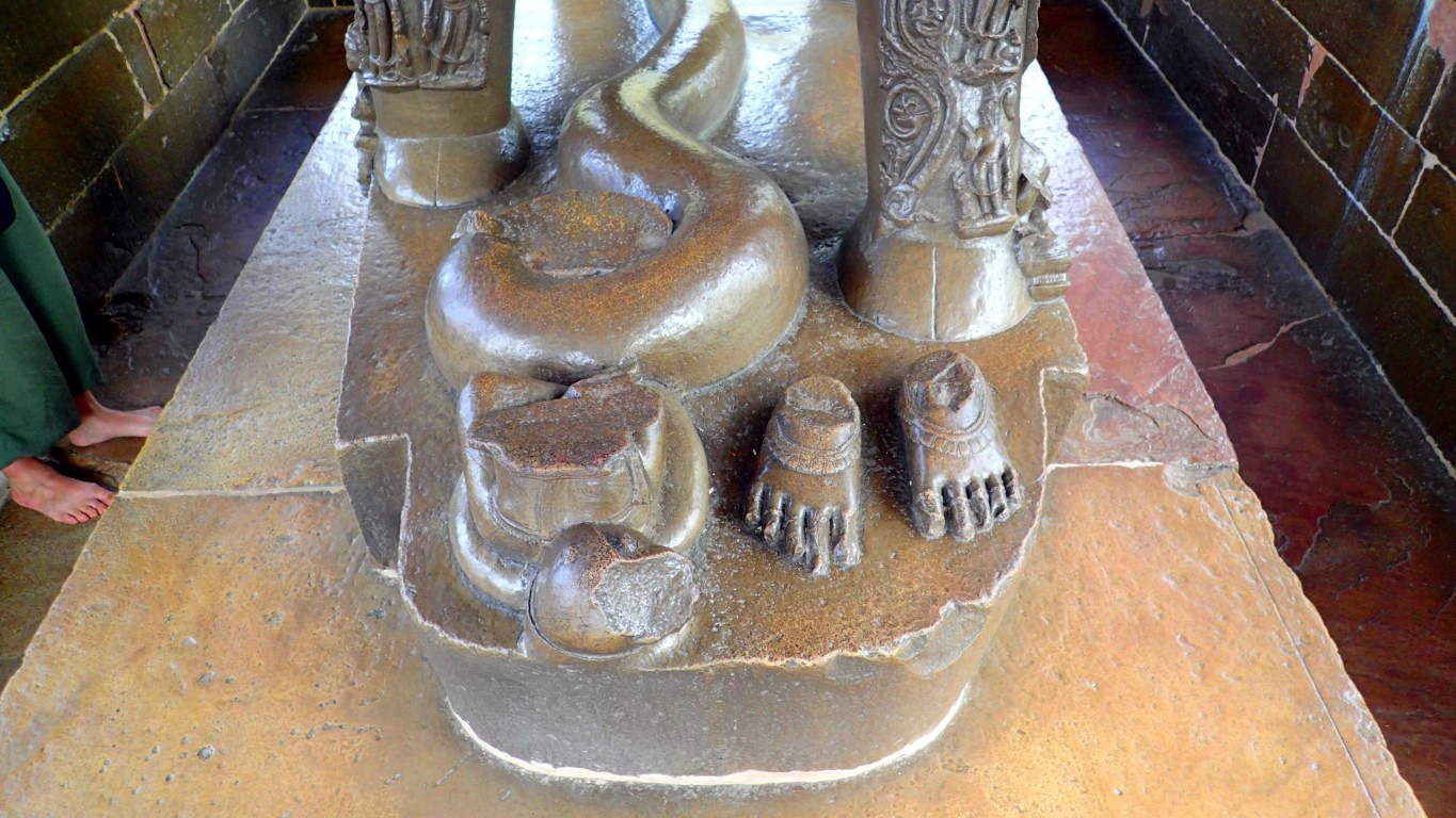 P3170775 (Medium).JPG