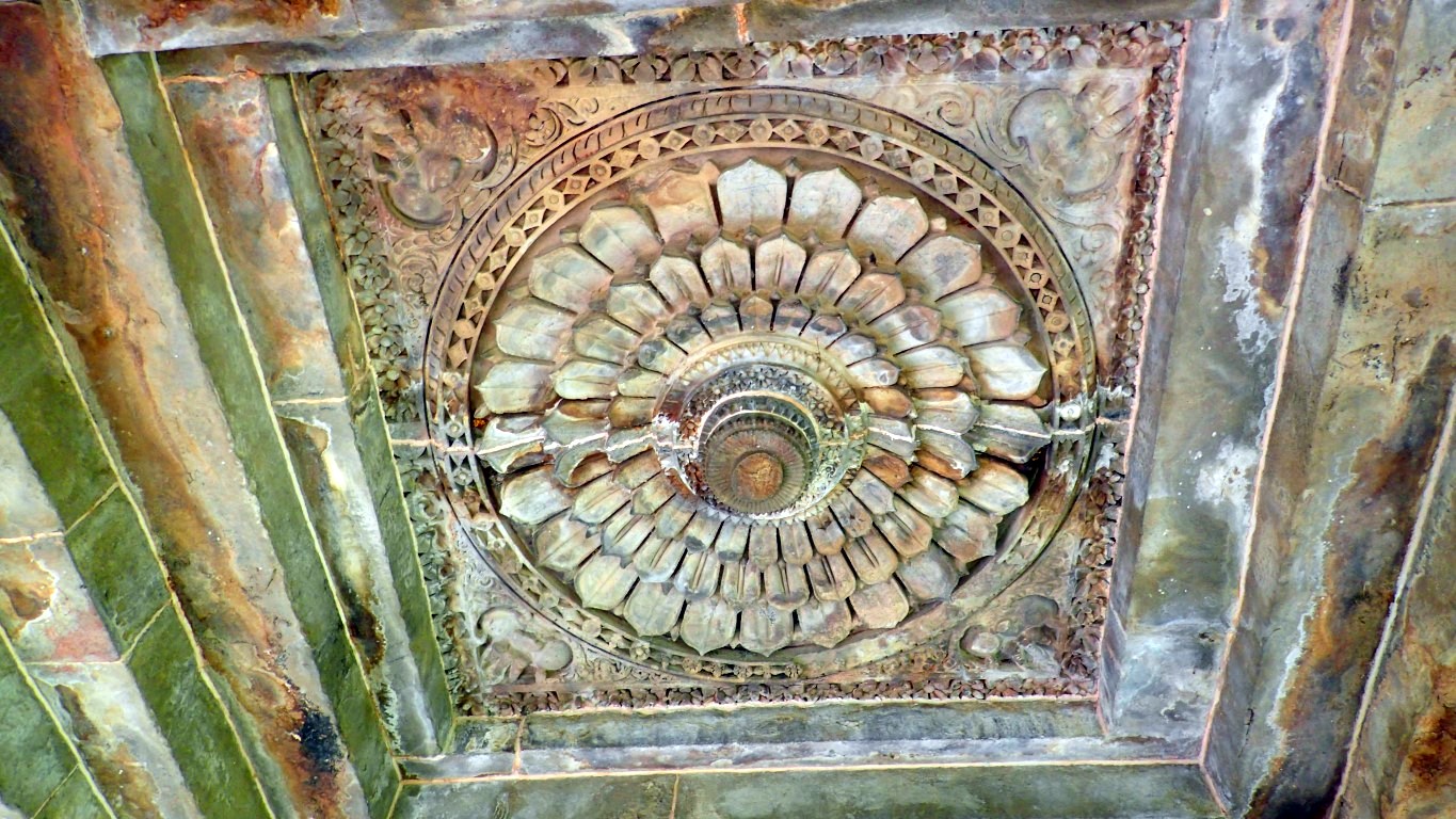 P3170781 (Medium).JPG