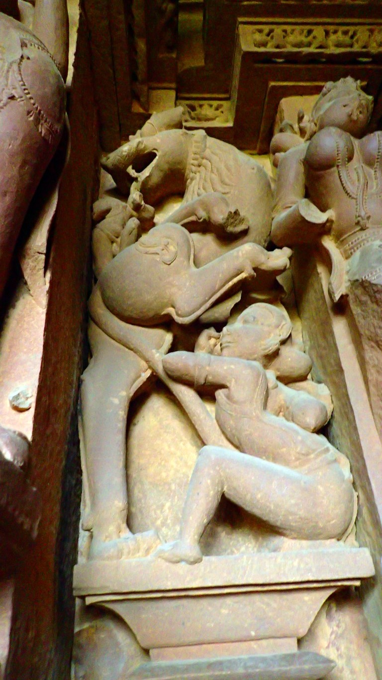 P3170866 (Medium).JPG