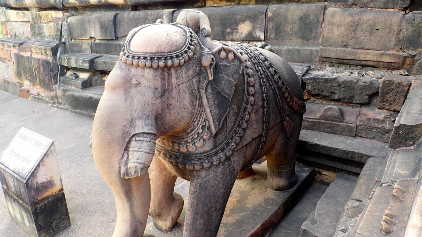 P3170884 (Medium).JPG