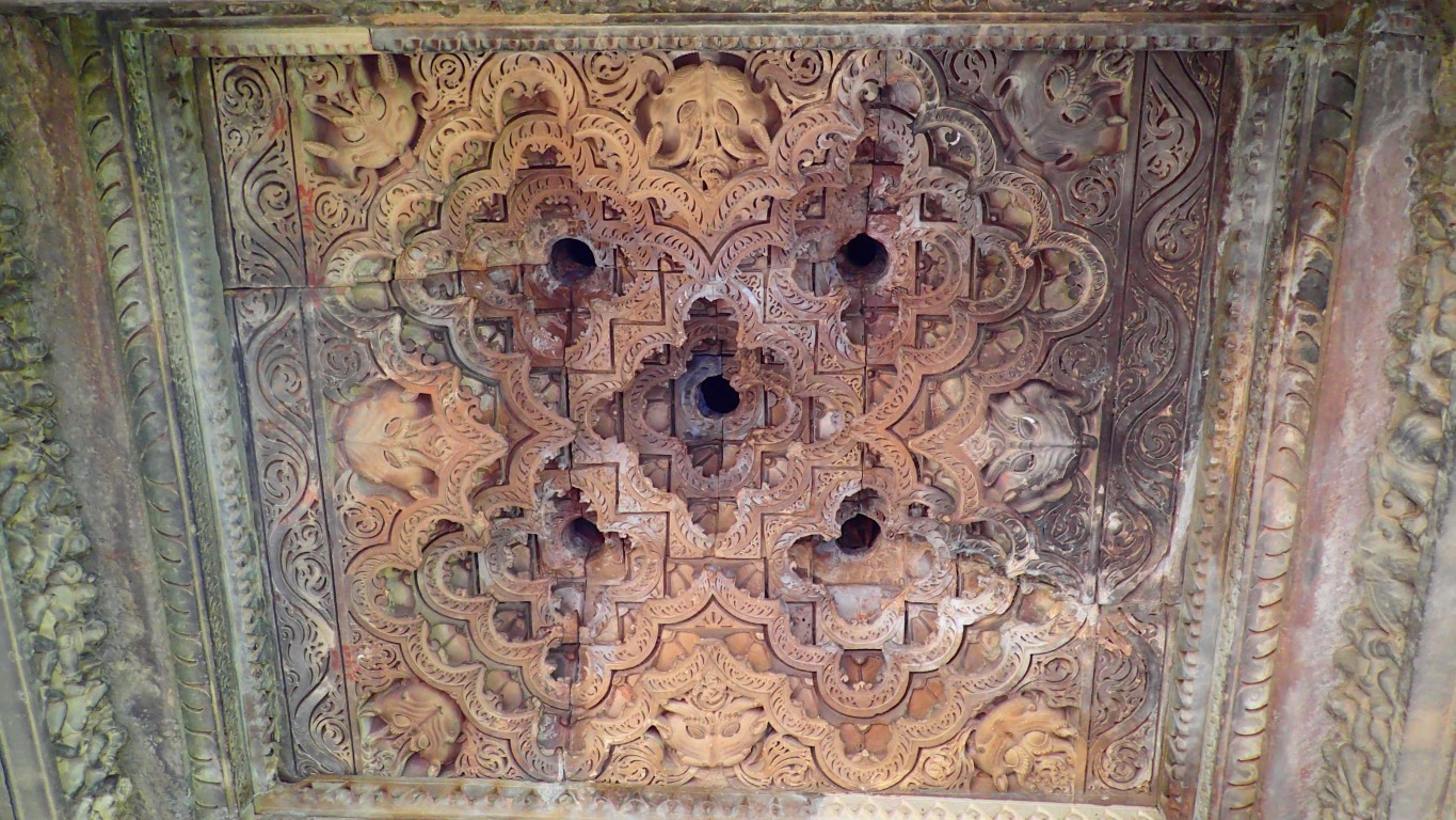 P3181061 (Medium).JPG