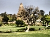 P3170948 (Medium).JPG
