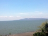20150502_115014.jpg