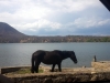 20150502_141148.jpg