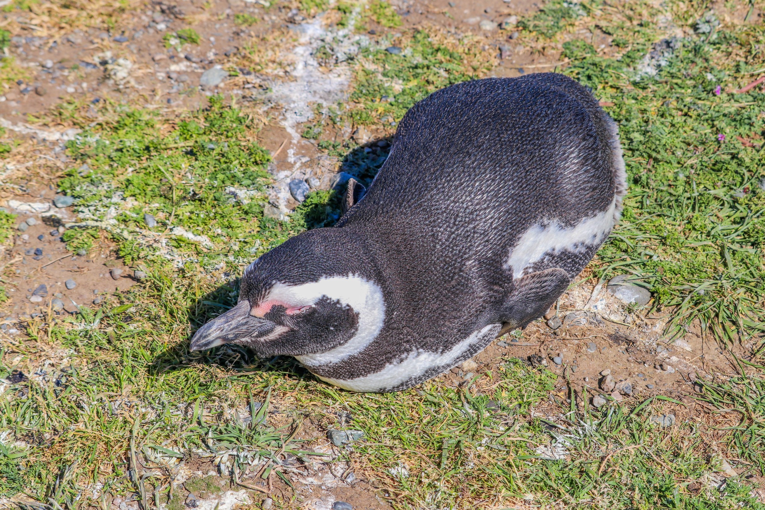 IMG_5300