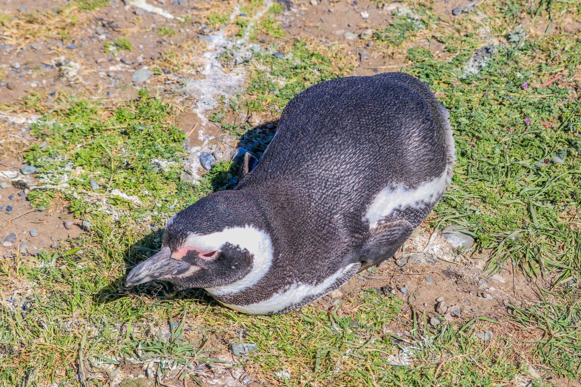 IMG_5301