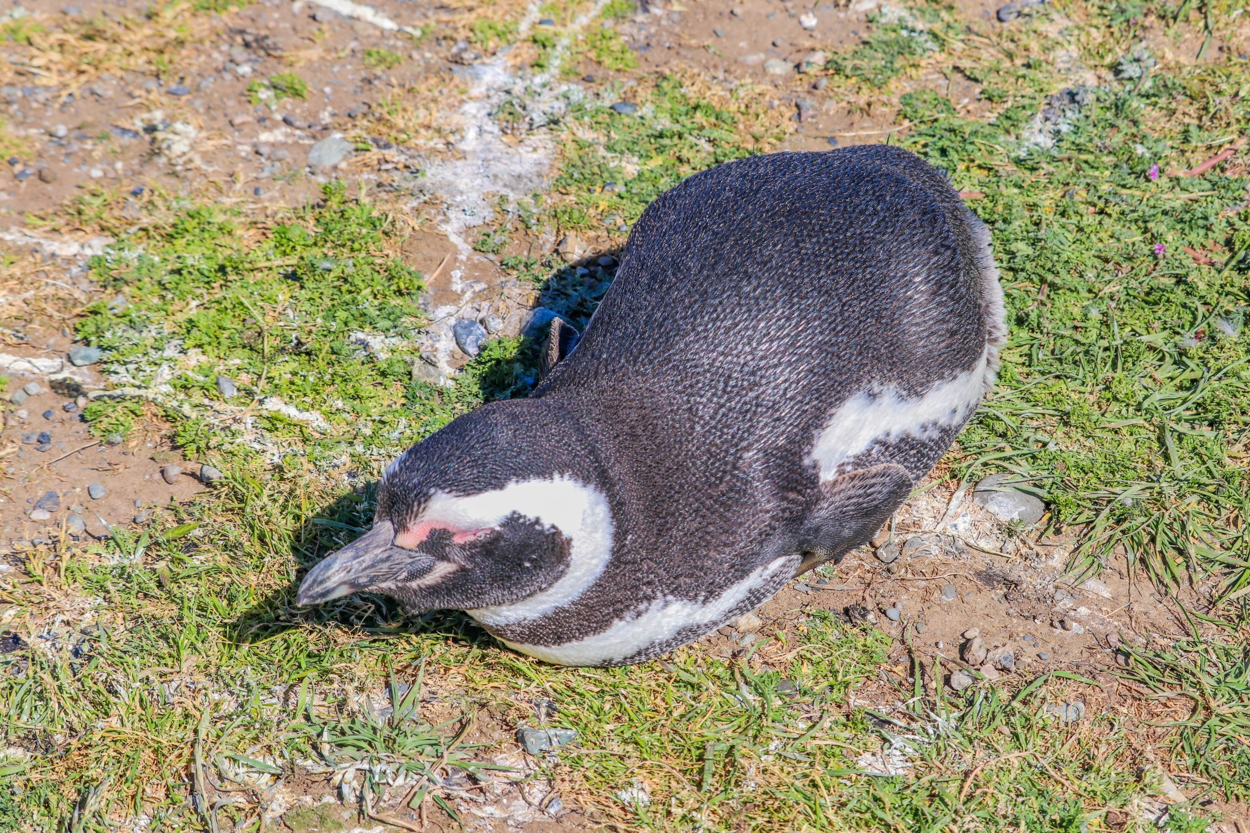 IMG_5302