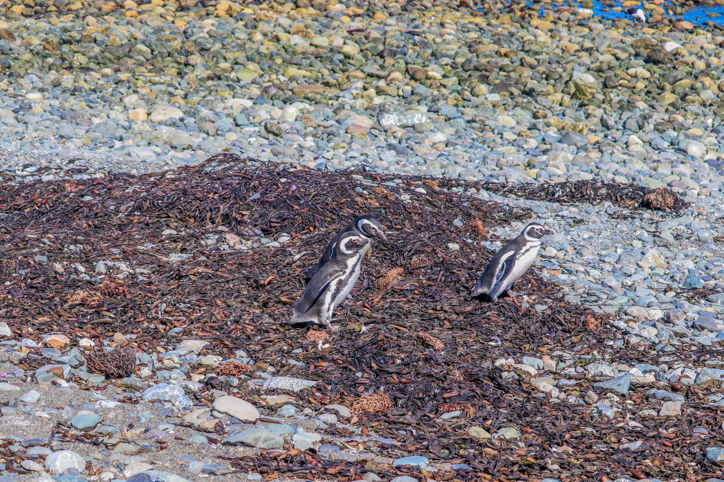 IMG_5362