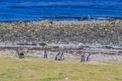 IMG_5392
