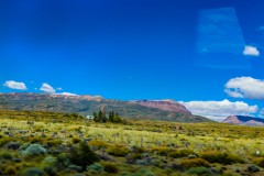 IMG_5779