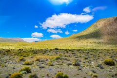 IMG_5780