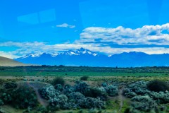 IMG_5783
