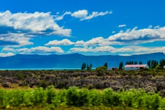 IMG_5785