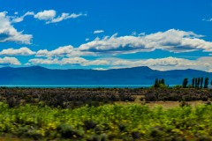 IMG_5786