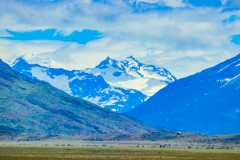 IMG_5801