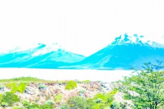 IMG_5808