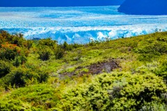 IMG_5828