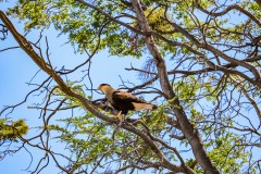 IMG_5889