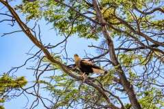 IMG_5890