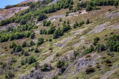 IMG_5902