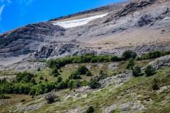 IMG_5904