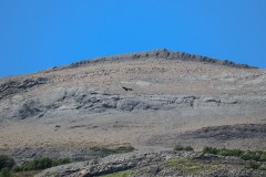 IMG_5906