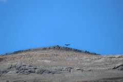 IMG_5907