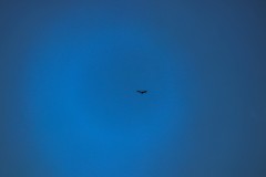 IMG_5911