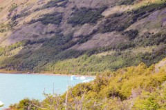 IMG_6060