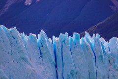 IMG_6138