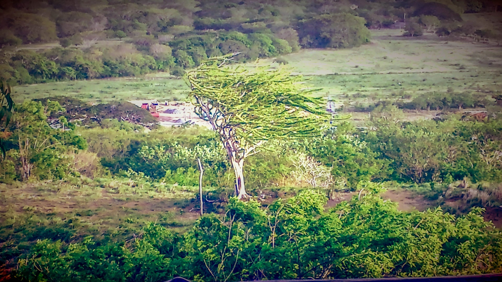 20150627_172552-282