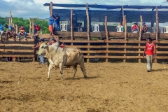 20150620_152332-132