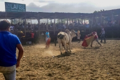 20150620_152907-141