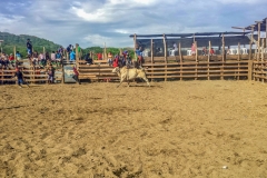 20150620_153321-149