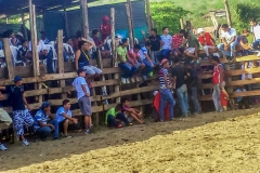 20150620_153533-151