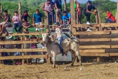 20150620_153742-152