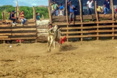 20150620_153936-157