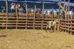 20150620_154051-162