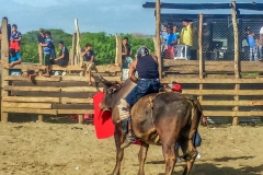 20150620_155406-173